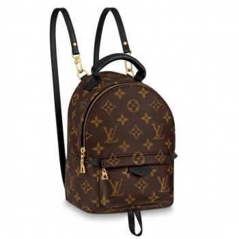 Louis Vuitton Mini Palm Springs Backpack M44873