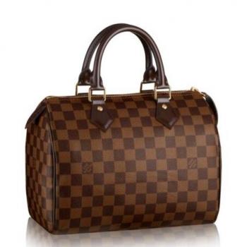 Louis Vuitton Speedy 25 Bag Damier Ebene N41365